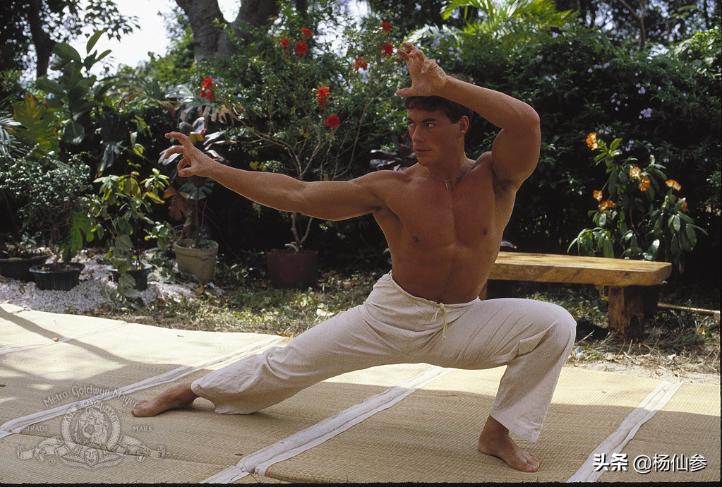 好莱坞动作巨星前十名排行榜,好莱坞评史上最伟大动作明星