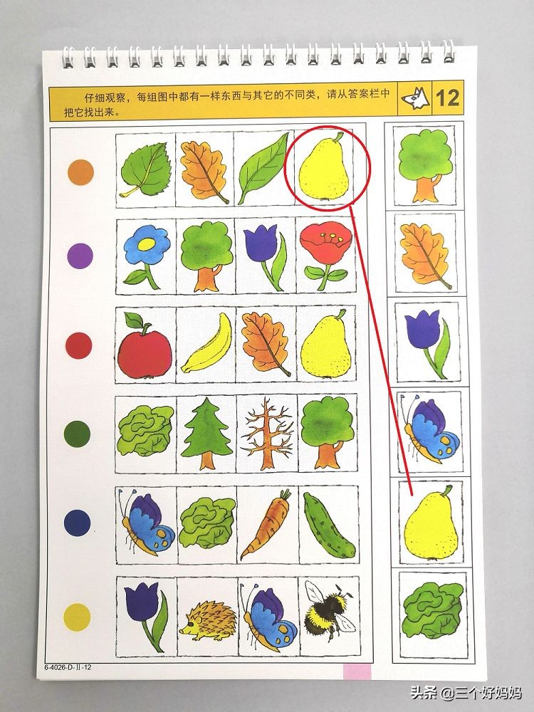 逻辑狗儿童思维训练3-4岁,德国逻辑狗思维训练的好处
