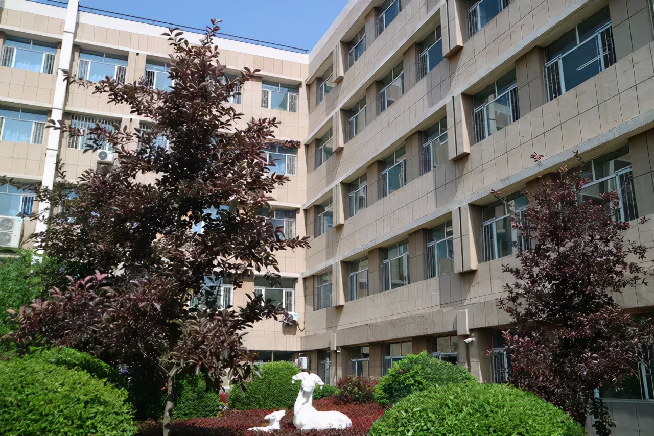 长春占地面积最大的高中,长春树仁高中和文苑高中哪个更好