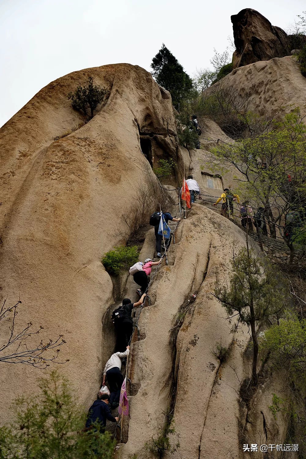 阳春四月春意盎然,阳春四月艳阳照