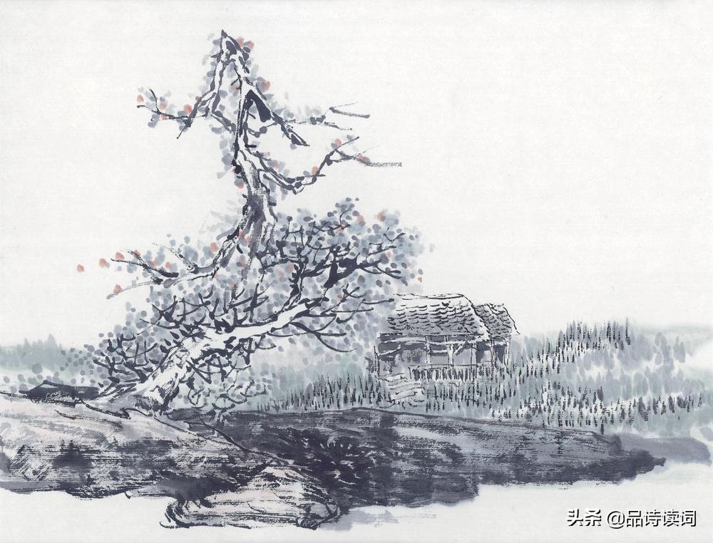 王维不愧是山水田园诗人，一首经典的五律，美得犹如一幅山水画卷