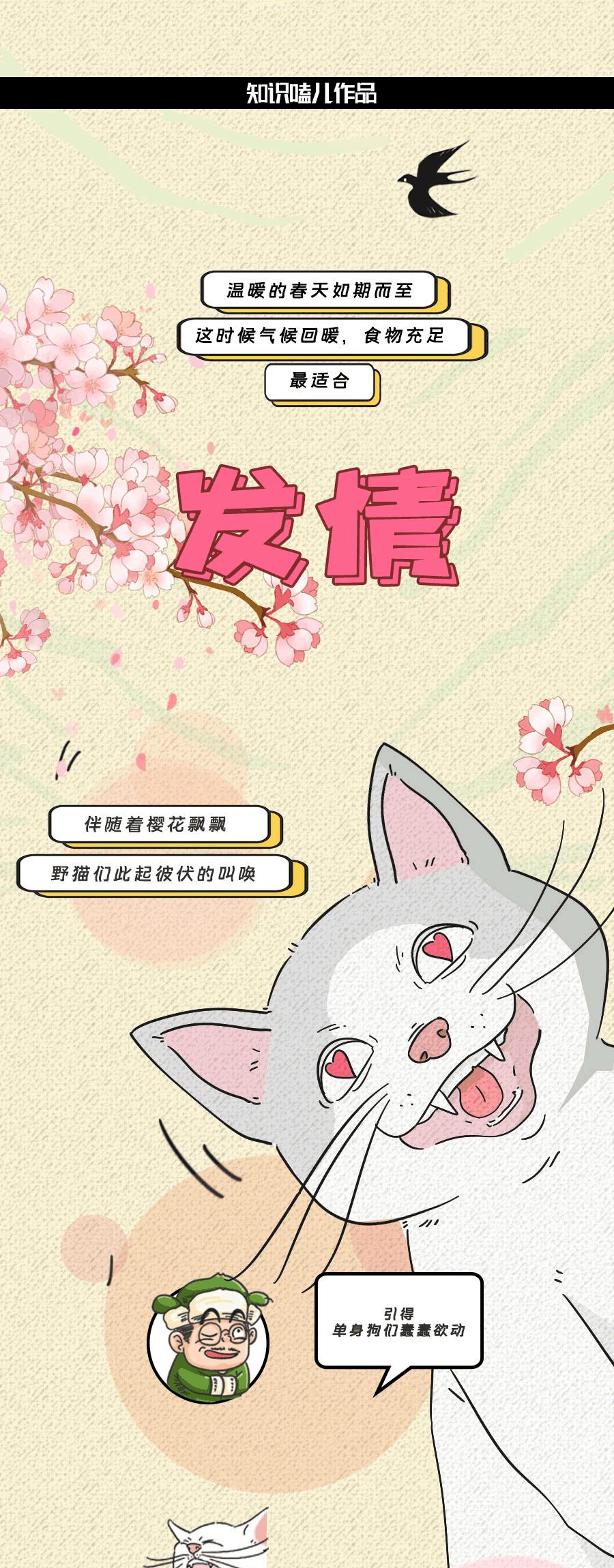 论啪啪啪，人类可比不上它们……