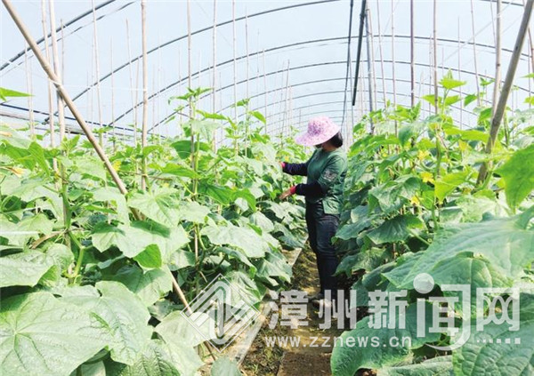 公司积极响应复工复产,平稳有序地推进复工复产