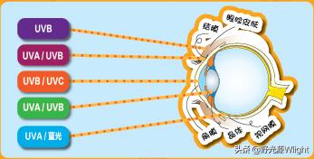 皮肤要防晒你知道眼睛要防晒么,除了眼睛皮肤都需要防晒吗