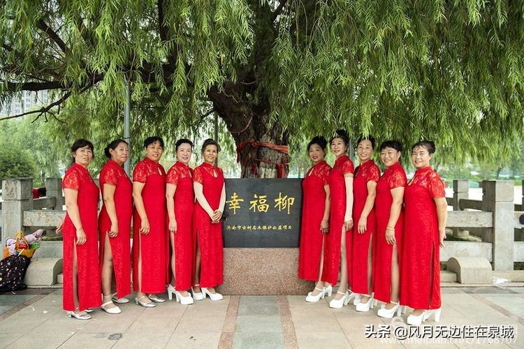 济南一颗梧桐树,济南的法国梧桐