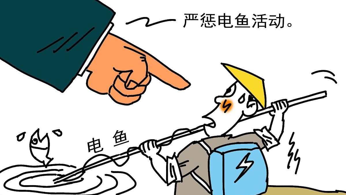 电鱼从什么时候禁止了,电鱼为什么是违法的