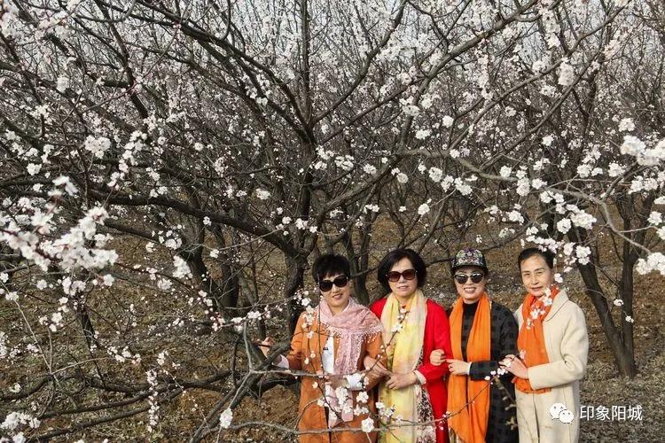 晋城哪里可以春游,晋城附近春游景点