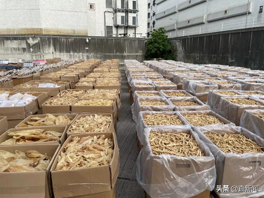 乱港头目*智英黎**再受审或再添一罪丨香港一日