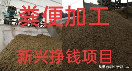 在农村做什么小型加工厂不愁销路,在农村开这4个加工厂不愁没销路