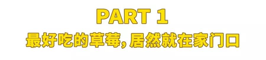 一下子吃了很多草莓,一下子吃了300g草莓