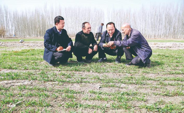 最新阿克苏的新闻,阿克苏最近有新消息吗