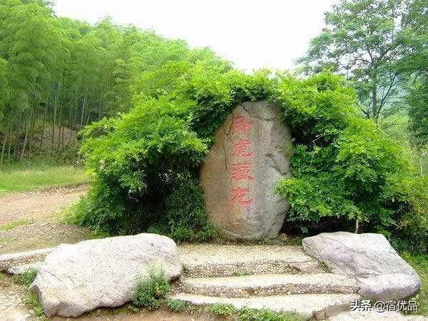 上海到安吉包吃包住农家乐,安吉民宿130元一天包吃住农家乐