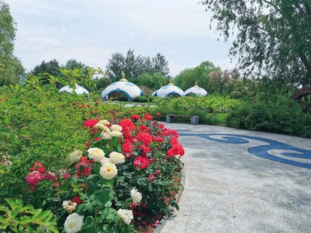 2020丰台文化和旅游消夏季活动正式启动！5条线路，游园、嬉水、赏花、亲子、夜游，全都有！