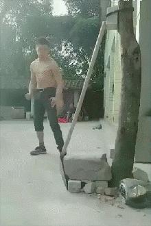 搞笑视频,搞笑动图gif猫咪