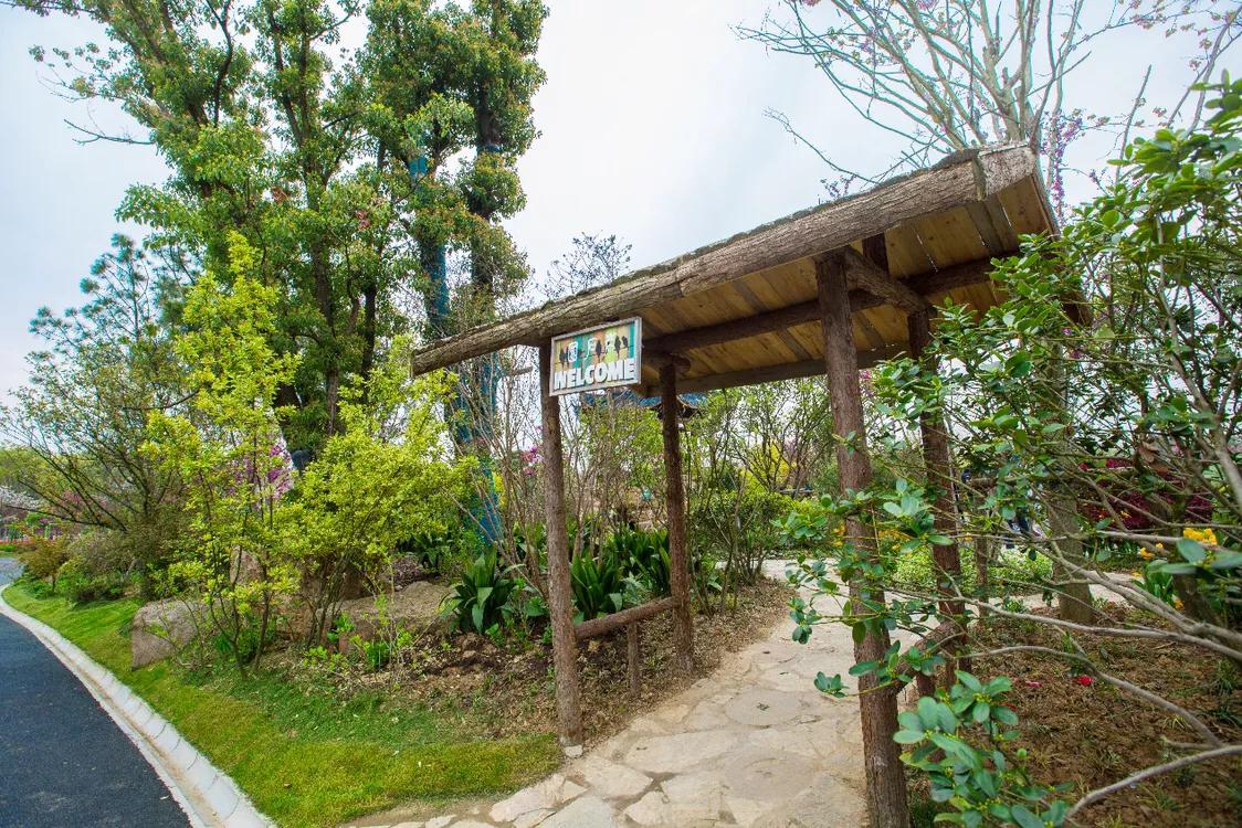 不用去维多利亚！南京溧水惊现布查特花园，文艺值爆表！