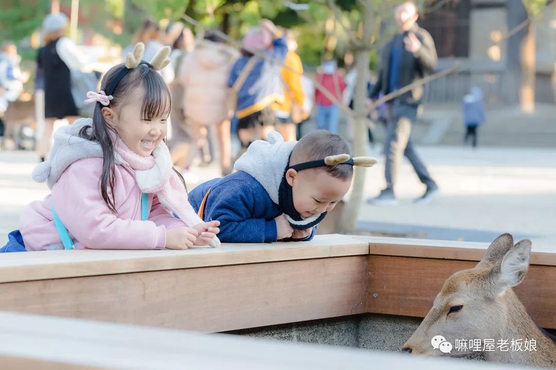 京都和大阪地理位置,京都奈良大阪位置