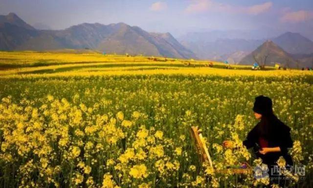 想见你，五彩缤纷的蓝田！「图」