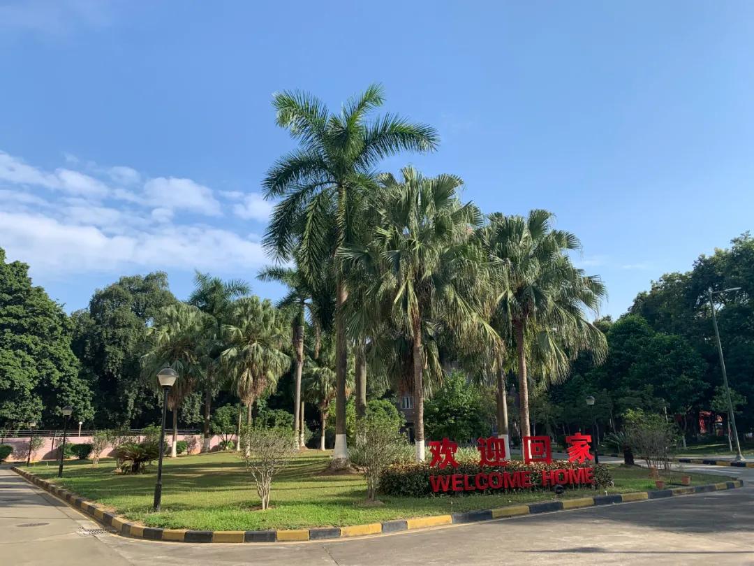 看旺旺的工厂，还以为来到了游乐园