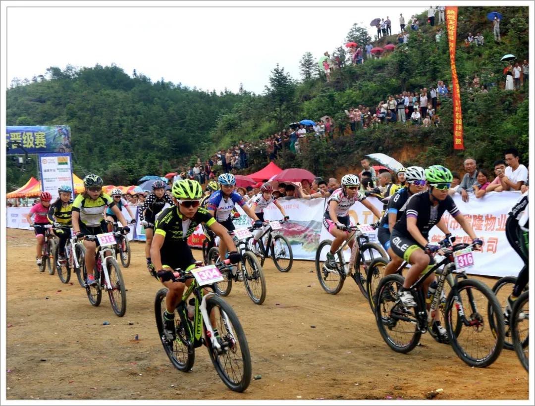 加强致富带头人队伍建设推动产业优化升级（三）