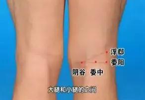 神奇的人体三角区，养好了，百病难扰