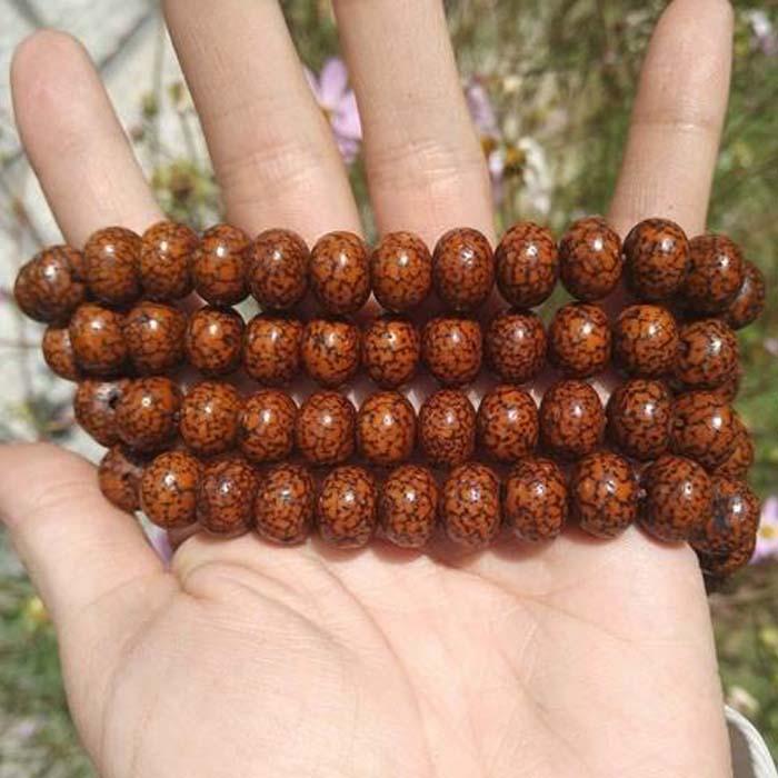 新手推荐的星月菩提,比较靠谱的星月菩提