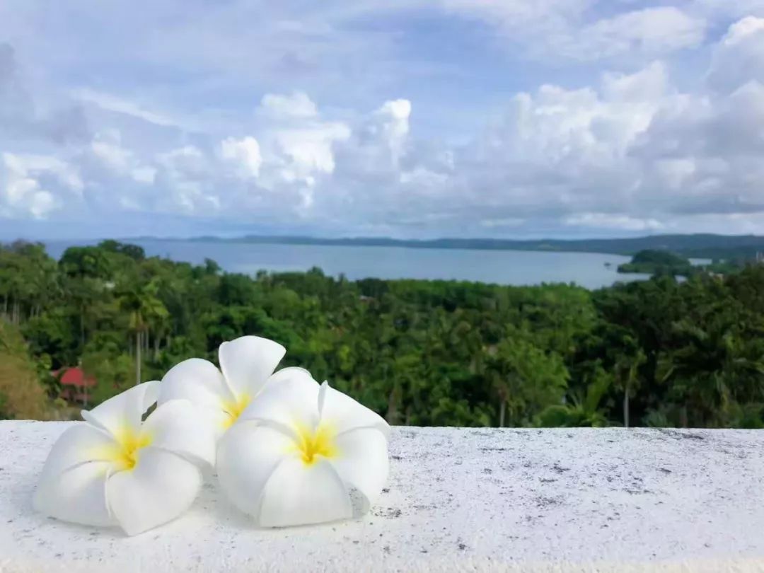 从A到Z，帕劳这个海岛国家远比你想象中更精彩