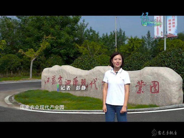 走进平原林海泗阳，一起感受辽阔壮美的泗阳之绿