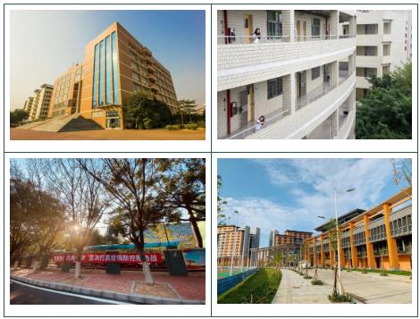 广东科技学院有本科和专科吗,广东科技学院机器人工程高职高考