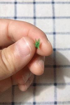 90后母亲被骗,90后妈妈因造假走红