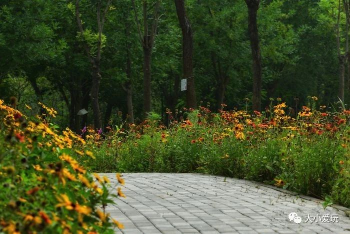 盘点北京适合遛娃的六个地方,周末免费遛娃好去处北京