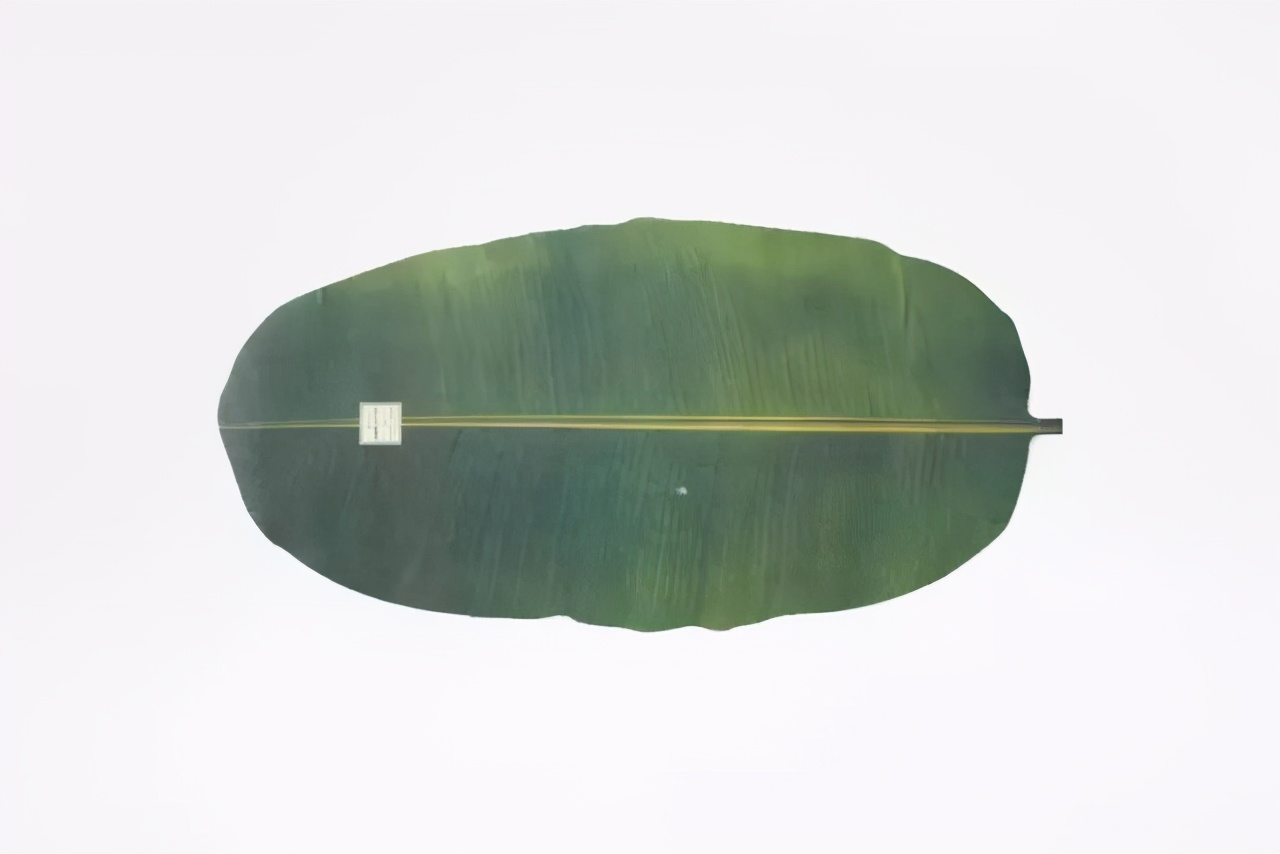 干货农产品包装包括哪些种类,水果礼盒是初级农产品吗