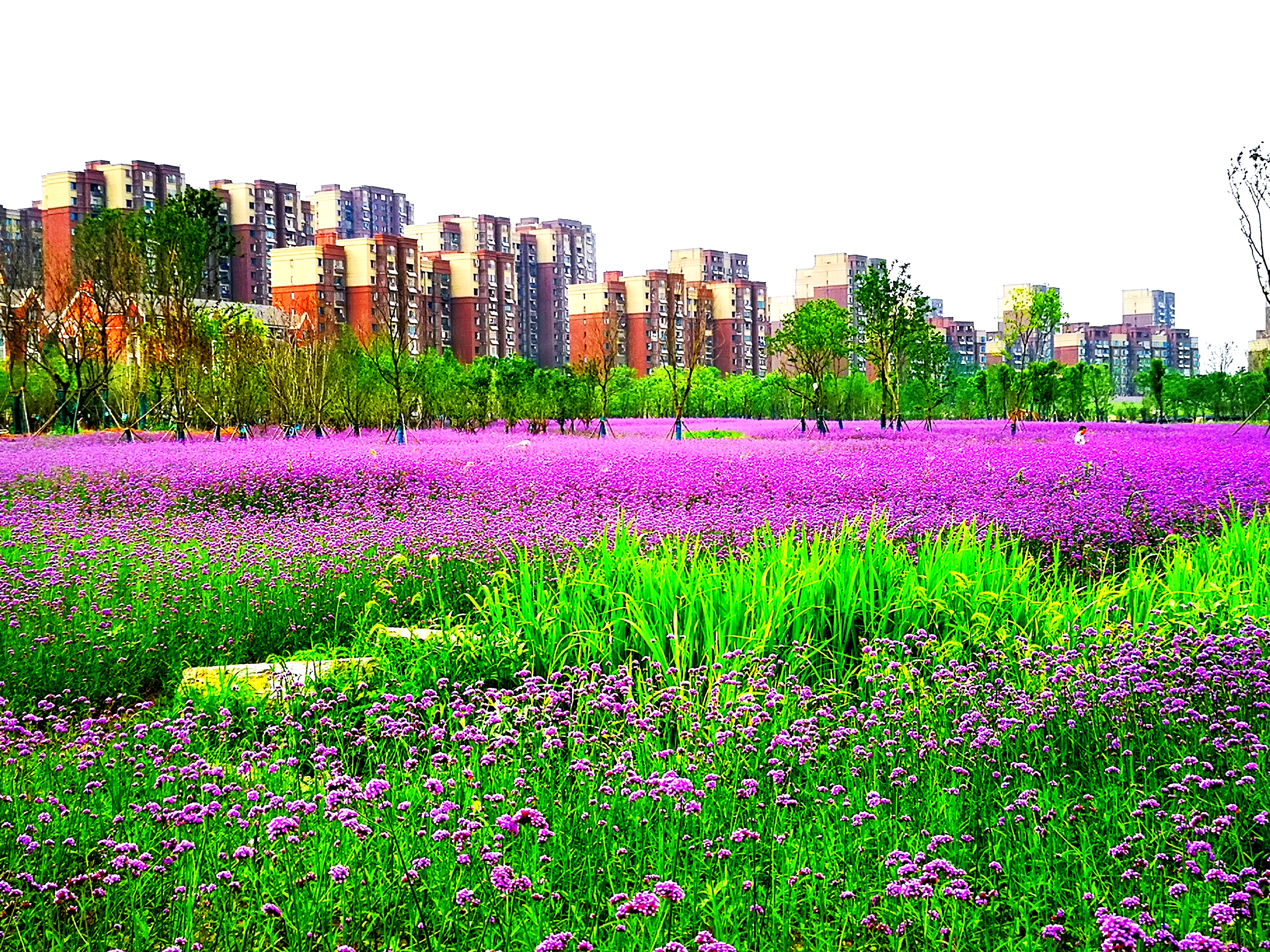 沉睡了千年的历史,沉睡的历史神秘的墓葬