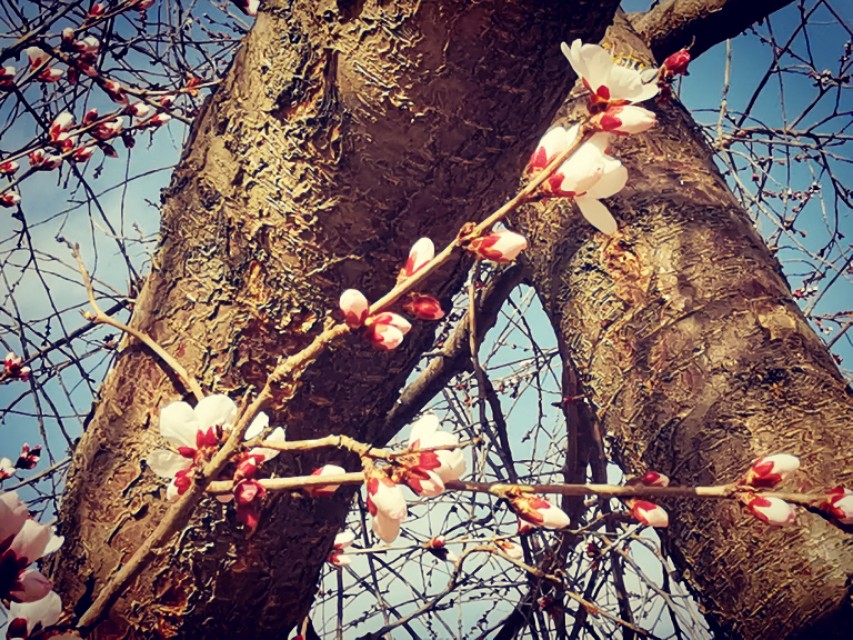 部编版语文注音汇总,部编二年级下册语文注音练习