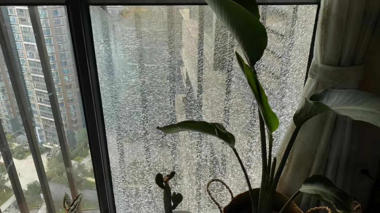 小区楼上放烟花会怎么样,楼上住户在楼上放烟花怎么处理