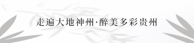 多彩贵州酒加盟,多彩贵州酒测评