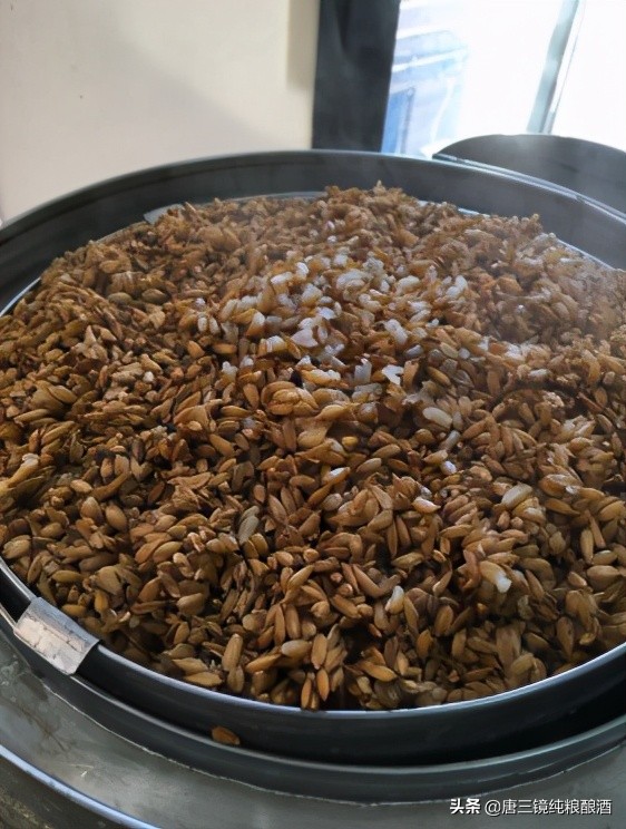 真全粮张思漫：用酿酒设备怎样烤酒出酒速度快还可以减少尾酒？