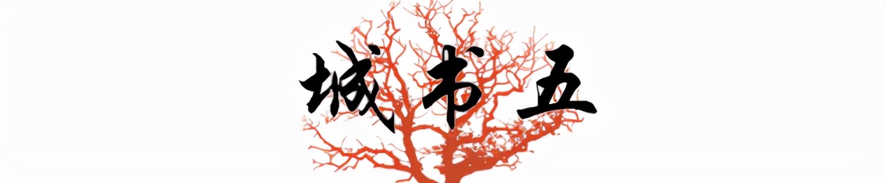 网红第一人罗玉凤,网红罗玉凤现象