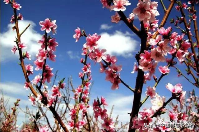 又一封辞职信火了，*疆新**人已传疯