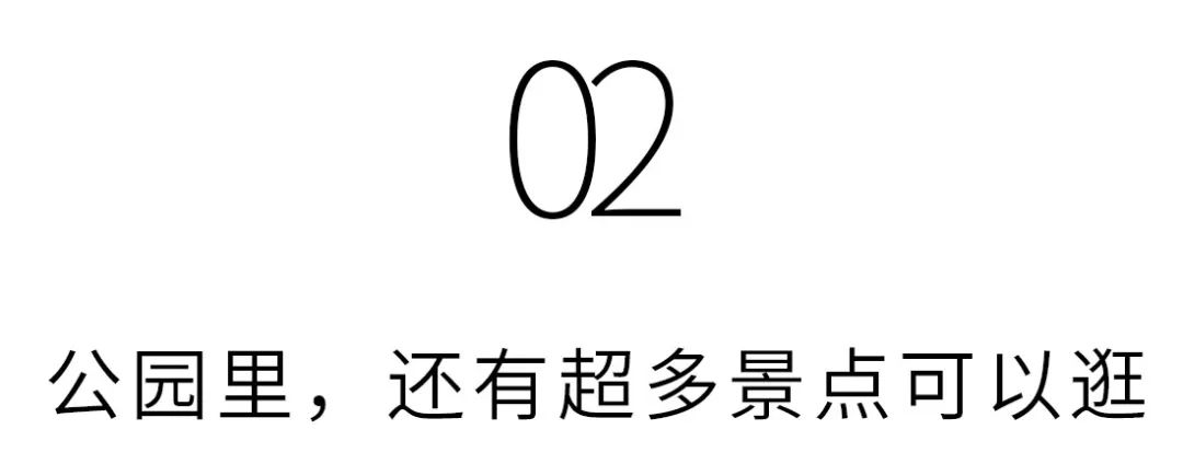 沙井万丰哪里的生蚝好吃,深圳沙井生蚝最出名店