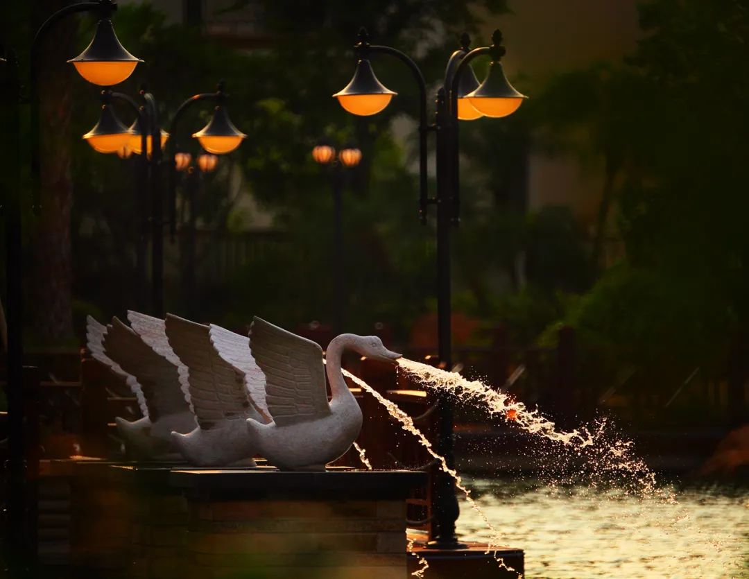 我会副会长吴卓凡企业代理项目——中山汇景东方·雁鸣湖