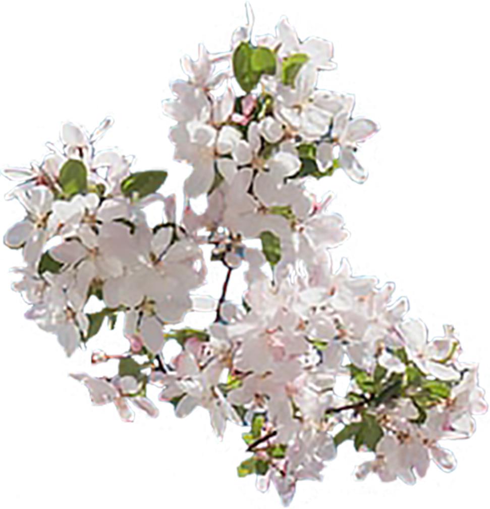 身边的好医生,身边好医生文章