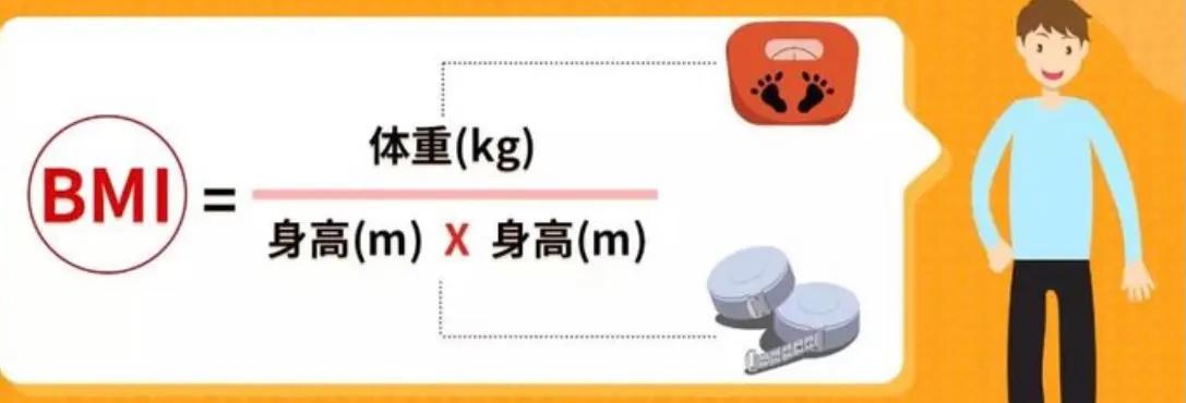 世卫肥胖指数bmi对照表,世界卫生组织给出的10条健康标准