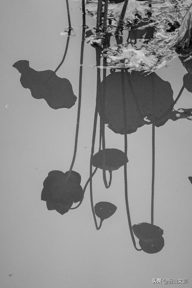 索尼黑卡二怎么拍,索尼黑卡2大光圈拍视频