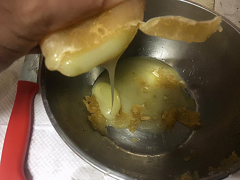 宠物蛇下几次蛋,宠物蛇下的水蛋可以吃吗