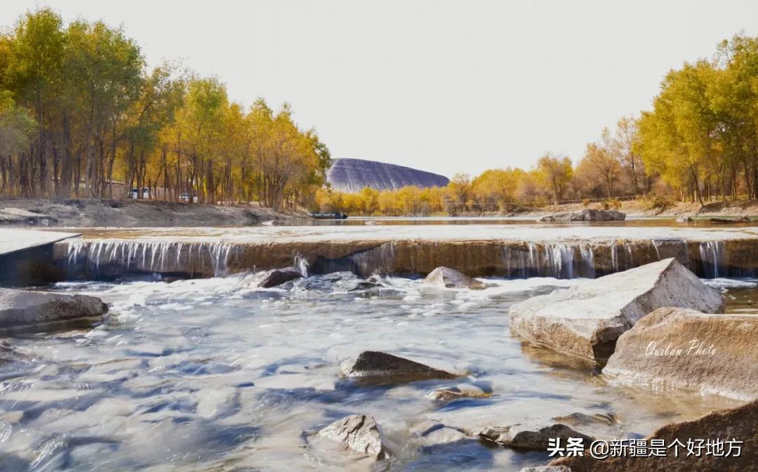 金秋游新疆全景图,喀什金秋风景