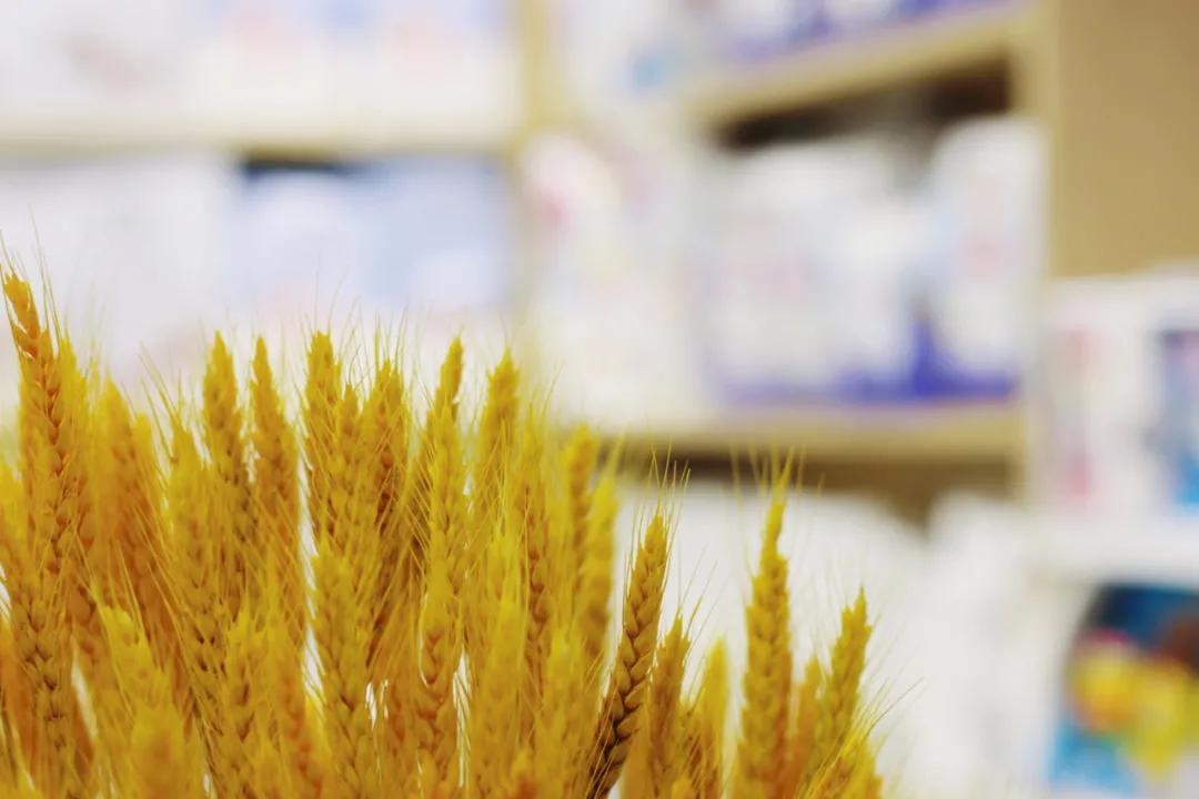 母婴店怎么开新手如何经营,新手怎样才能经营好一家母婴店