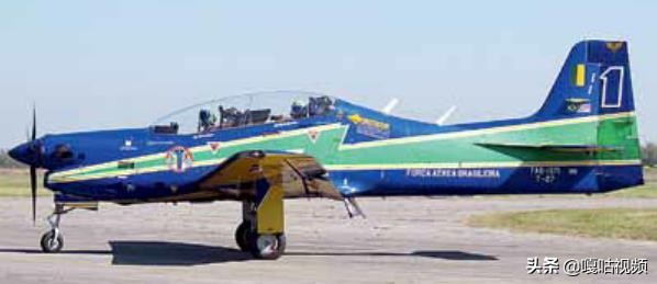 亚马逊巨嘴鸟,巨型巨嘴鸟