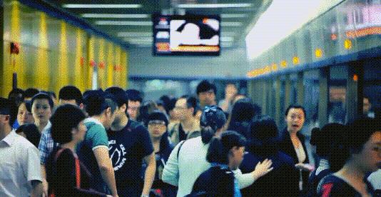 双流区主导产业,双流经济支柱产业