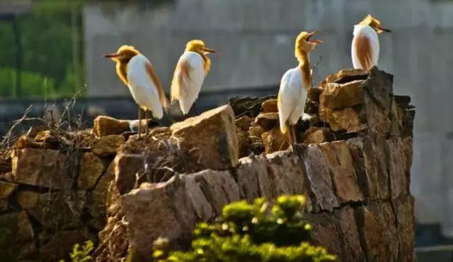 舟山嵊泗海岛民宿推荐海景房,嵊泗泗礁岛海景民宿十大排名