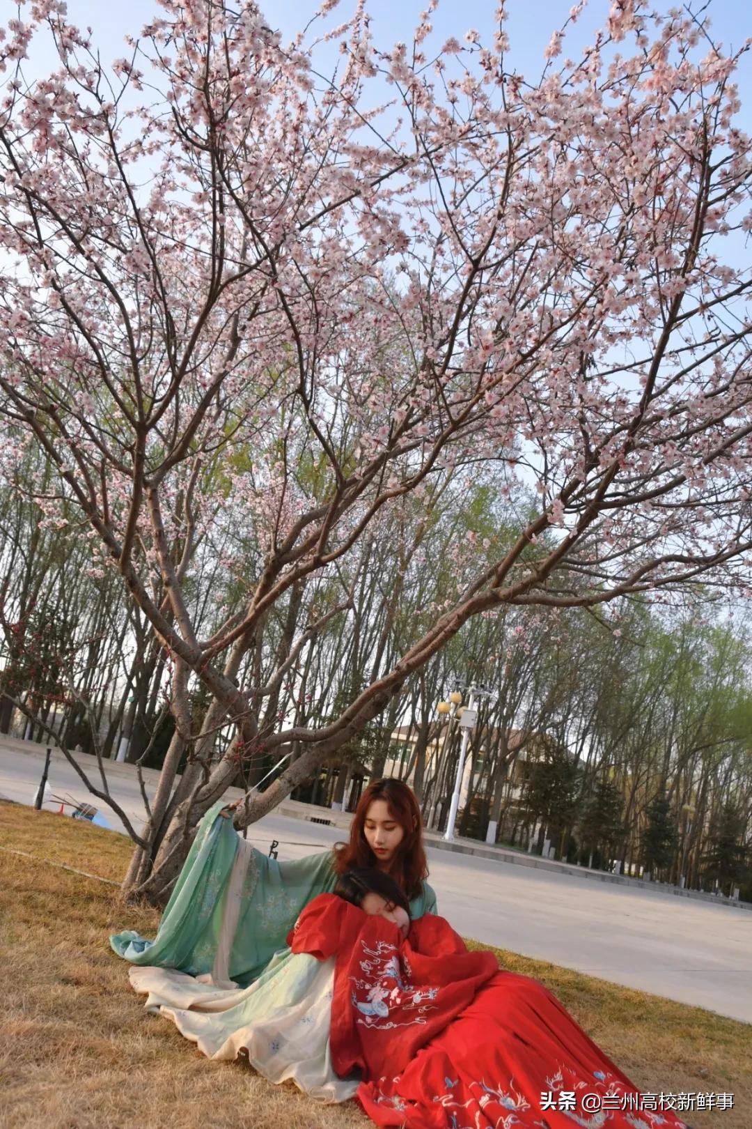 兰财校花,高校校花青春来袭你pick哪一款